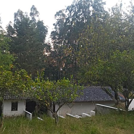Quinta Los Eucaliptos Vila Quito Exterior foto